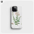 3-14_Treatise-on-Trees-and-Shrubs_phone