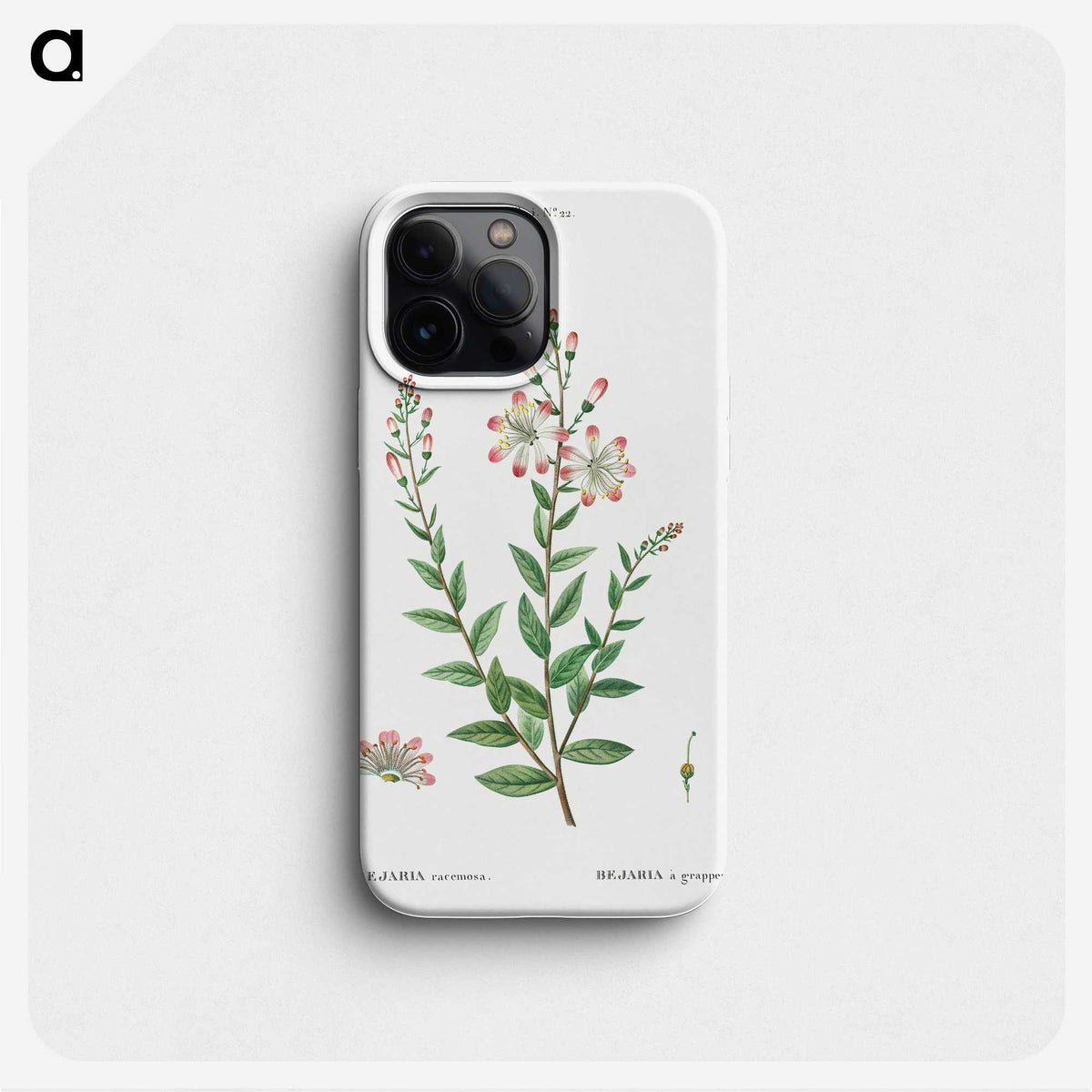 3-14_Treatise-on-Trees-and-Shrubs_phone