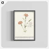 3-15_Anselmus-Boetius-de-Boodt_blk-crop