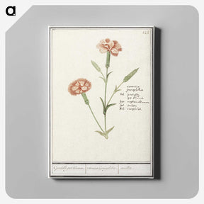 3-15_Anselmus-Boetius-de-Boodt_canvas