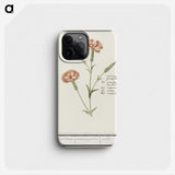 3-15_Anselmus-Boetius-de-Boodt_phone
