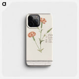 Carnation, Dianthus - アンセルムス ボエティウス デ ブート Phone Case.