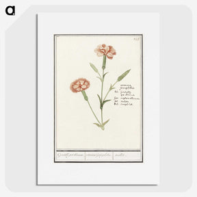 3-15_Anselmus-Boetius-de-Boodt_picture
