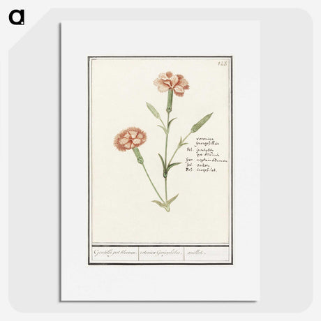 3-15_Anselmus-Boetius-de-Boodt_picture
