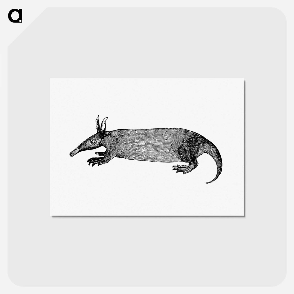 アートポストカード-Anteater from Travels and Adventures in Southern Africa
 - 大英図書館 Postcard.