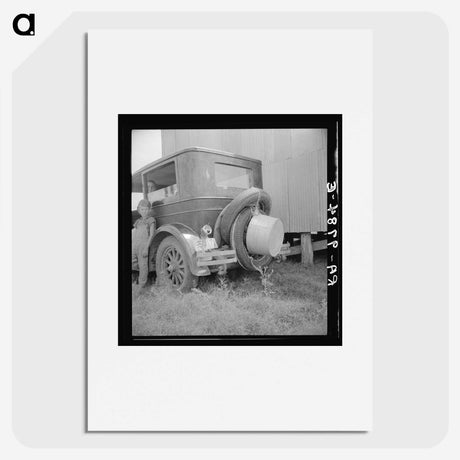 3-15_Dorothea-Lange_picture