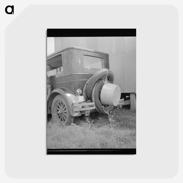 3-15_Dorothea-Lange_postcard