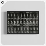 3-15_Eadweard-Muybridge_blk-crop
