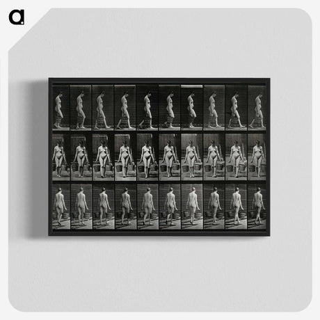 3-15_Eadweard-Muybridge_blk-crop