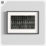 3-15_Eadweard-Muybridge_blk