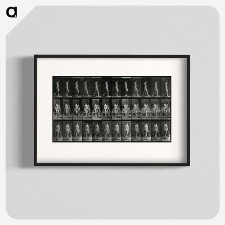3-15_Eadweard-Muybridge_blk