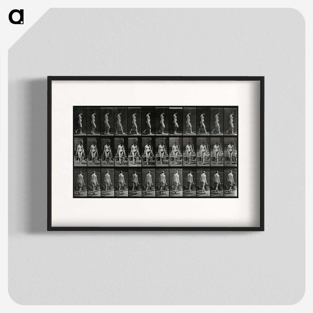 3-15_Eadweard-Muybridge_blk