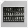 3-15_Eadweard-Muybridge_canvas