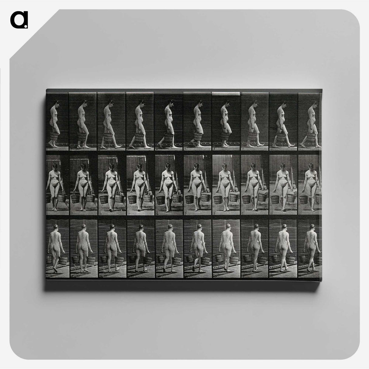 3-15_Eadweard-Muybridge_canvas