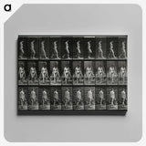 3-15_Eadweard-Muybridge_canvas