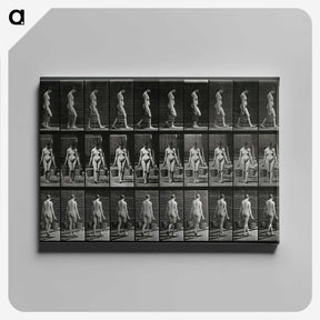 3-15_Eadweard-Muybridge_canvas
