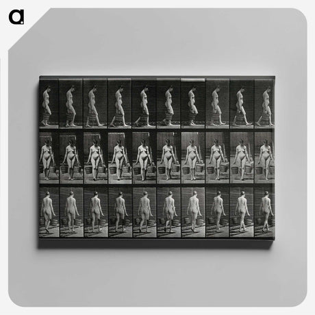 3-15_Eadweard-Muybridge_canvas