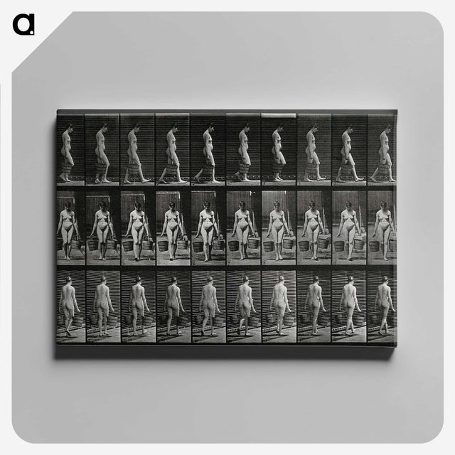 3-15_Eadweard-Muybridge_canvas