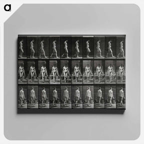 アートパネル-Woman with Buckets
 - エドワード マイブリッジ Canvas.