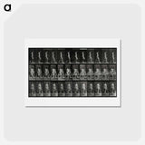 アートポストカード-Woman with Buckets
 - エドワード マイブリッジ Postcard.