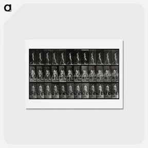 アートポストカード-Woman with Buckets
 - エドワード マイブリッジ Postcard.