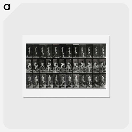 アートポストカード-Woman with Buckets
 - エドワード マイブリッジ Postcard.