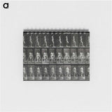 3-15_Eadweard-Muybridge_memo