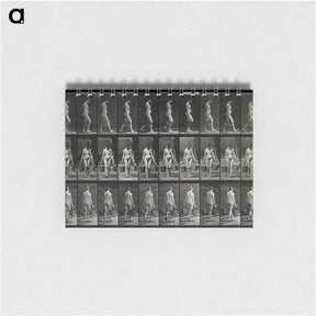 3-15_Eadweard-Muybridge_memo