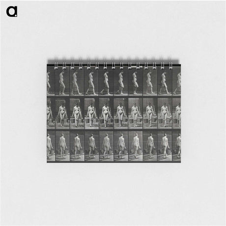 3-15_Eadweard-Muybridge_memo