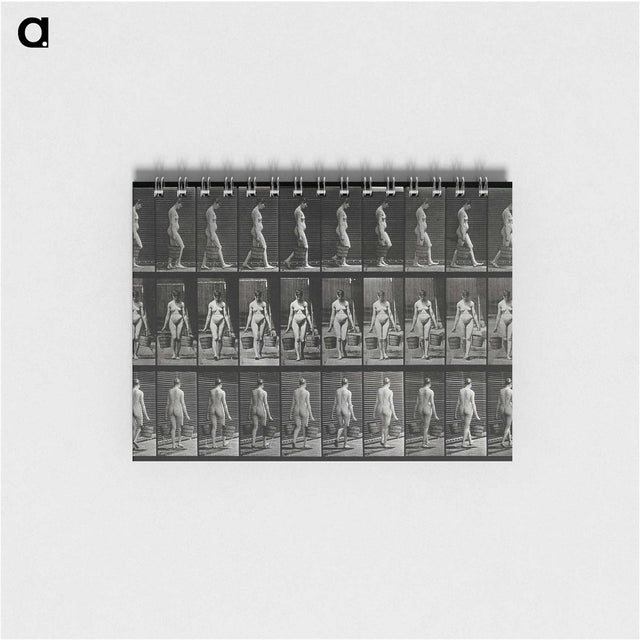 3-15_Eadweard-Muybridge_memo