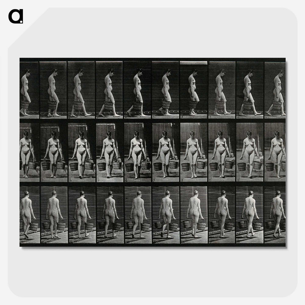 3-15_Eadweard-Muybridge_picture-crop