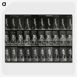 3-15_Eadweard-Muybridge_picture-crop