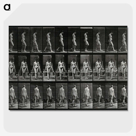 3-15_Eadweard-Muybridge_picture-crop