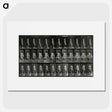3-15_Eadweard-Muybridge_picture