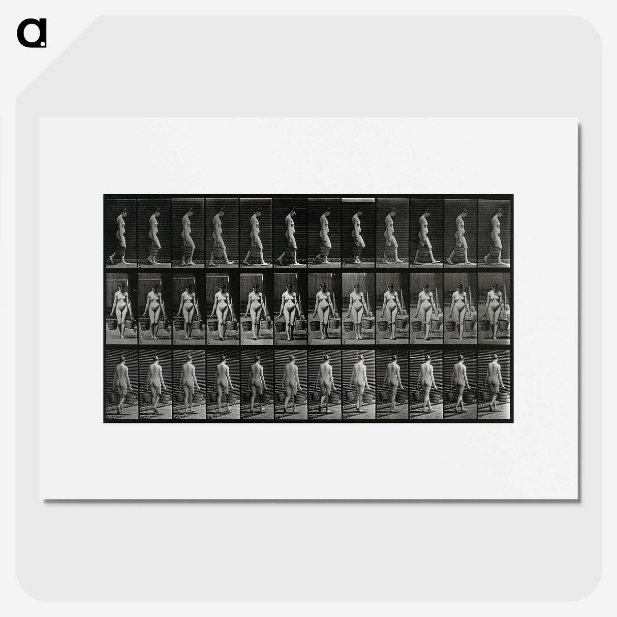 3-15_Eadweard-Muybridge_picture