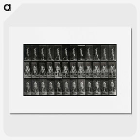 3-15_Eadweard-Muybridge_picture