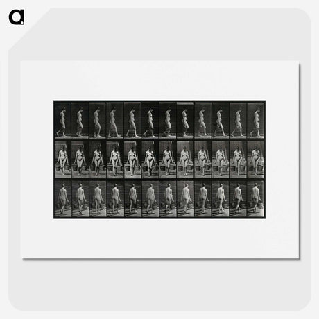 3-15_Eadweard-Muybridge_picture