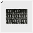 3-15_Eadweard-Muybridge_postcard