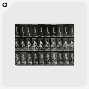 3-15_Eadweard-Muybridge_postcard