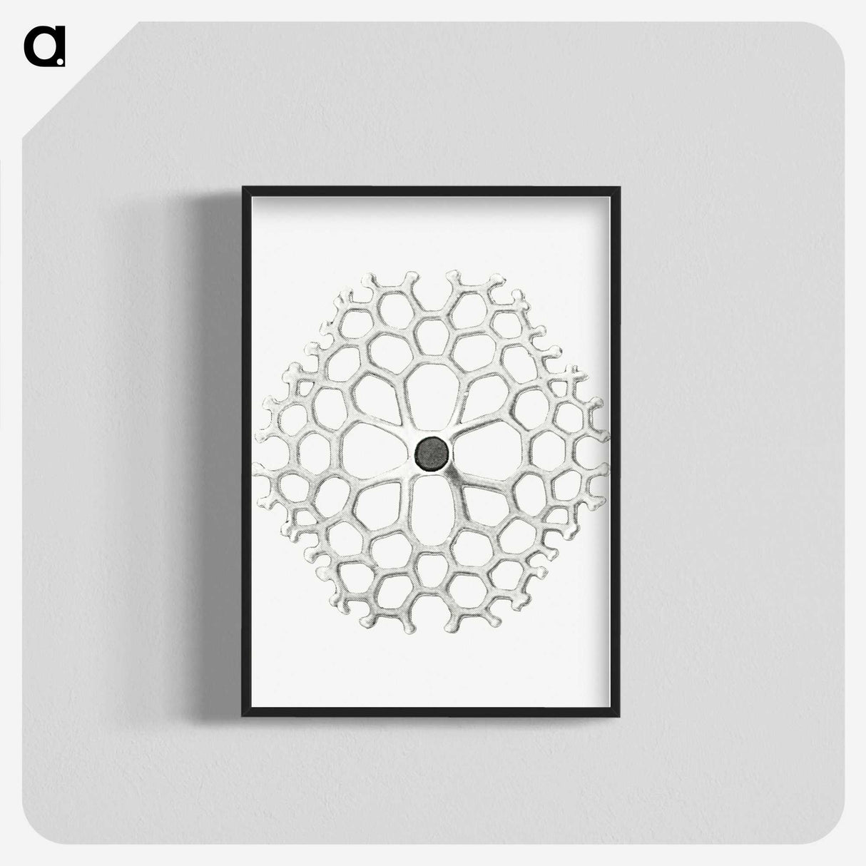 3-15_Ernst-Haeckel_blk-crop