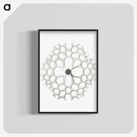 3-15_Ernst-Haeckel_blk-crop