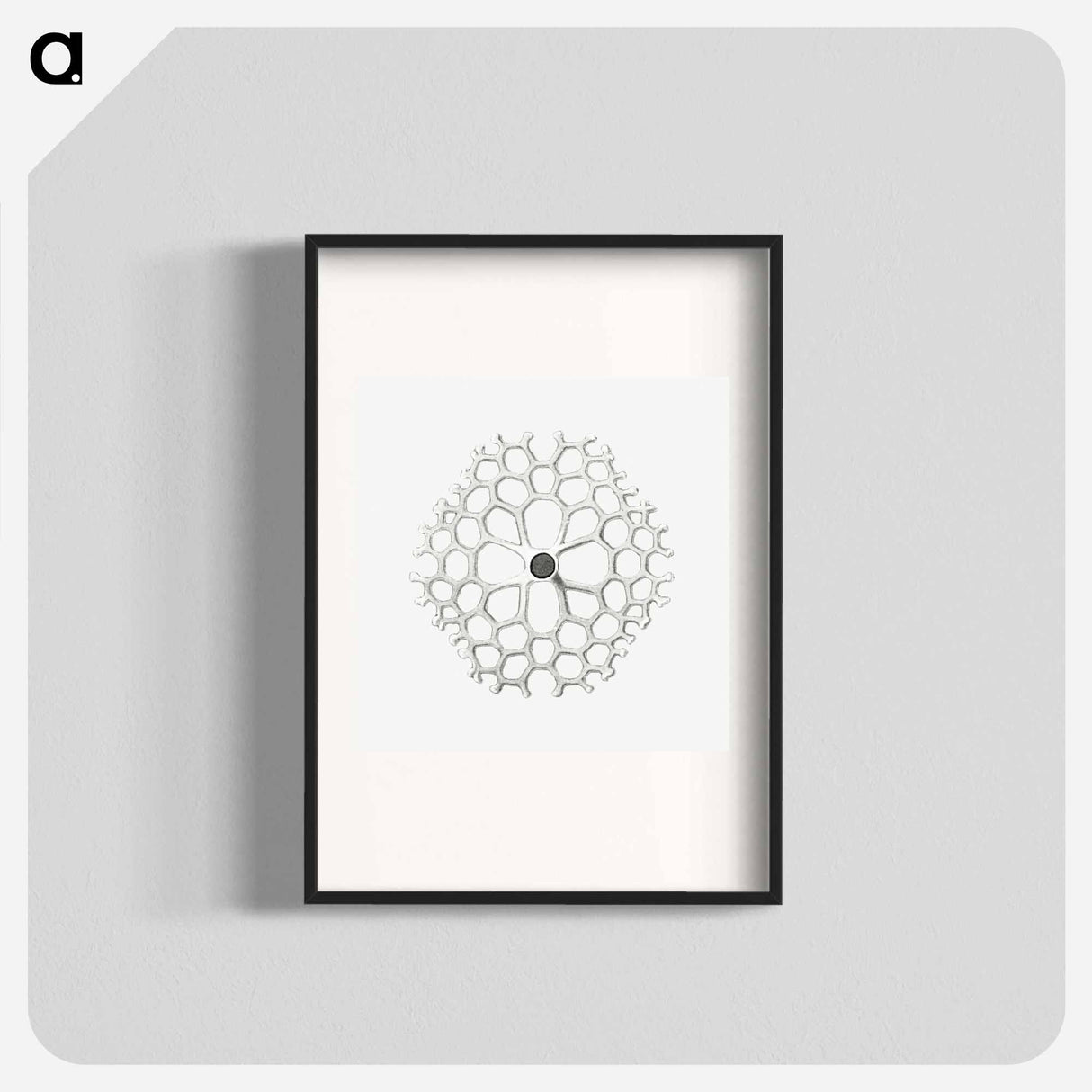 Vintage marine life illustration on white background - エルンスト ヘッケル Poster.
