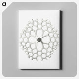 3-15_Ernst-Haeckel_canvas