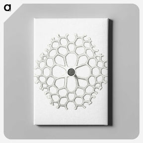 3-15_Ernst-Haeckel_canvas
