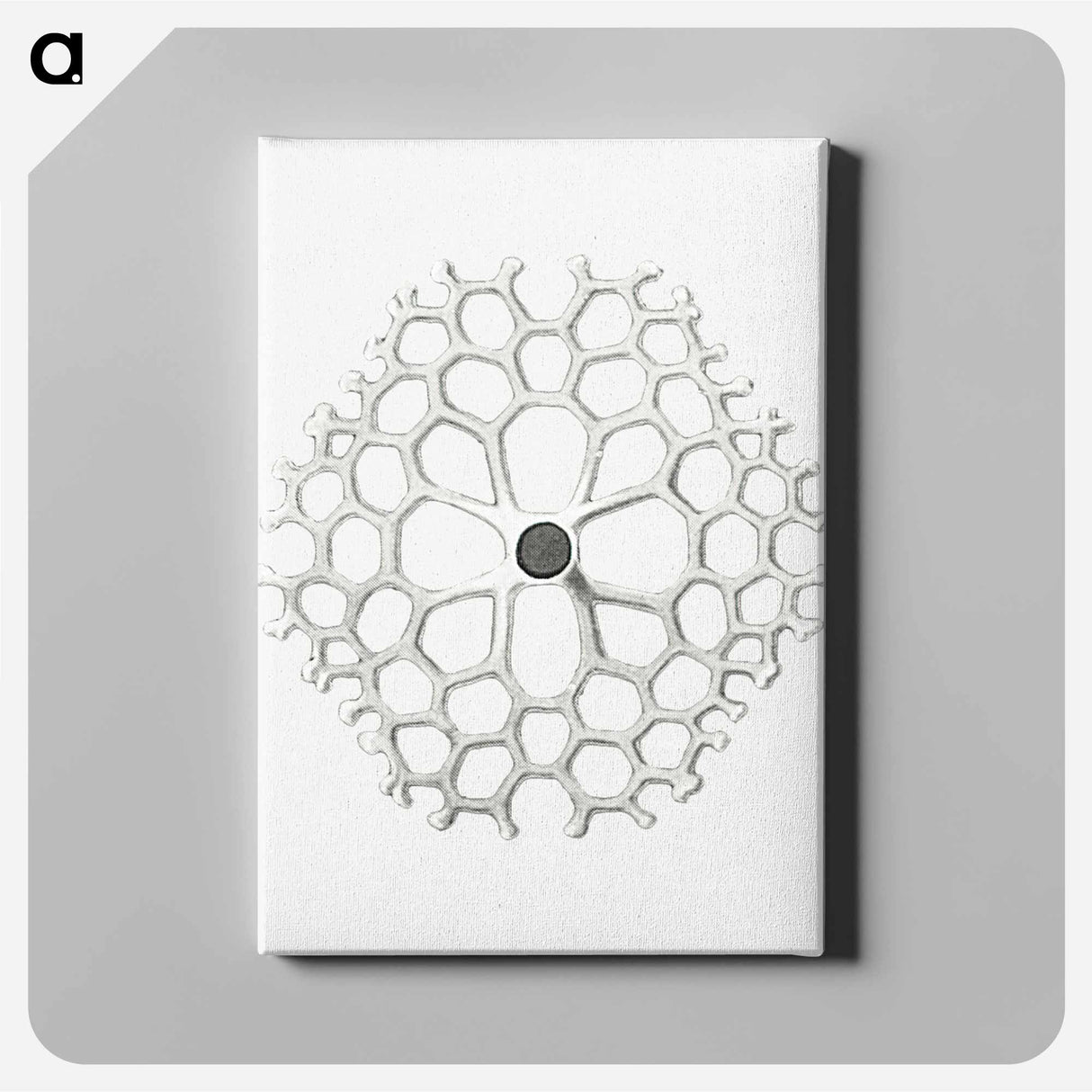 Vintage marine life illustration on white background - エルンスト ヘッケル Canvas.