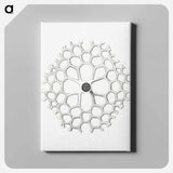 Vintage marine life illustration on white background - エルンスト ヘッケル Canvas.