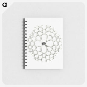 3-15_Ernst-Haeckel_memo