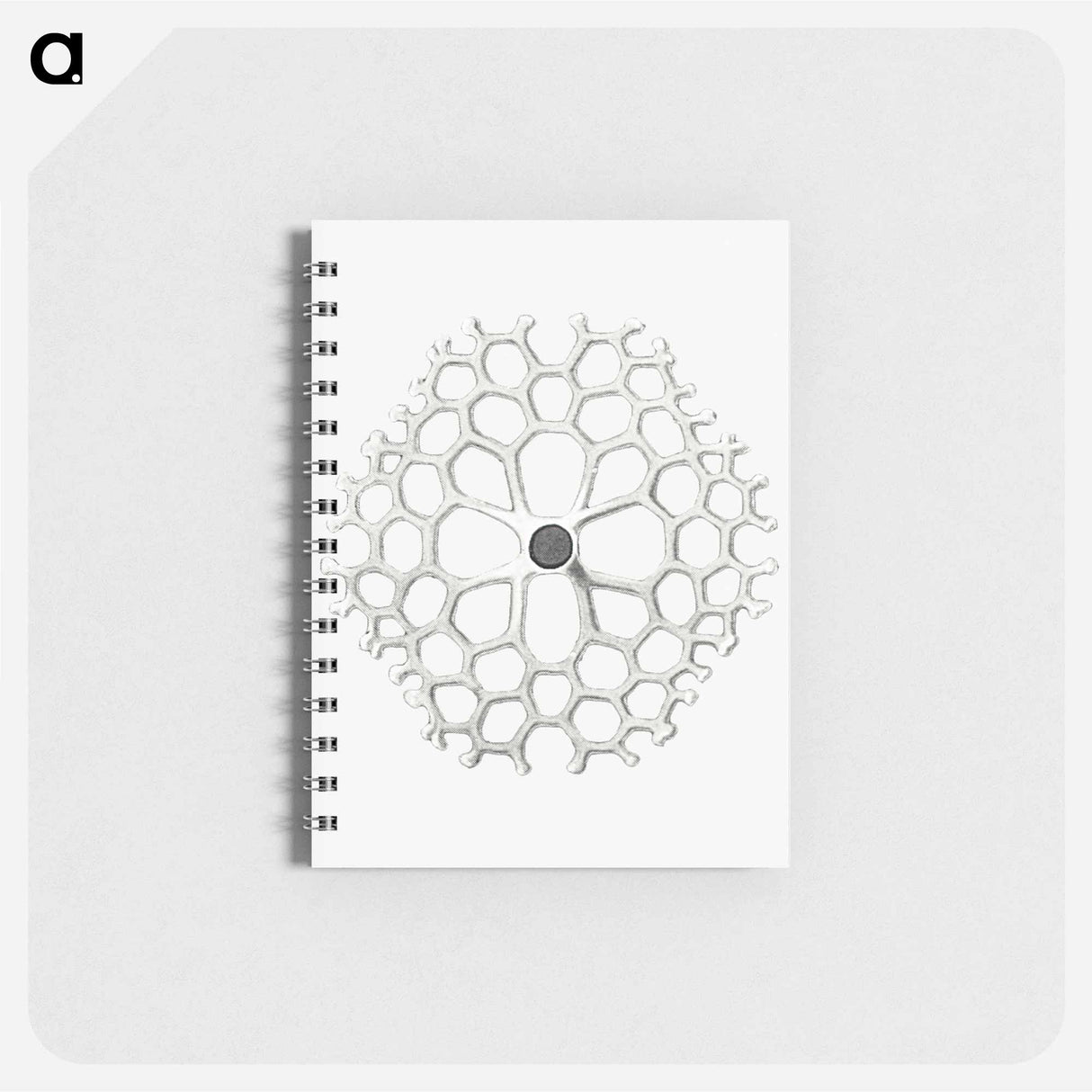 アートメモ帳-Vintage marine life illustration on white background - エルンスト ヘッケル Memo.