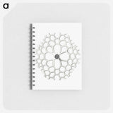 アートメモ帳-Vintage marine life illustration on white background - エルンスト ヘッケル Memo.