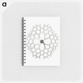 アートメモ帳-Vintage marine life illustration on white background - エルンスト ヘッケル Memo.